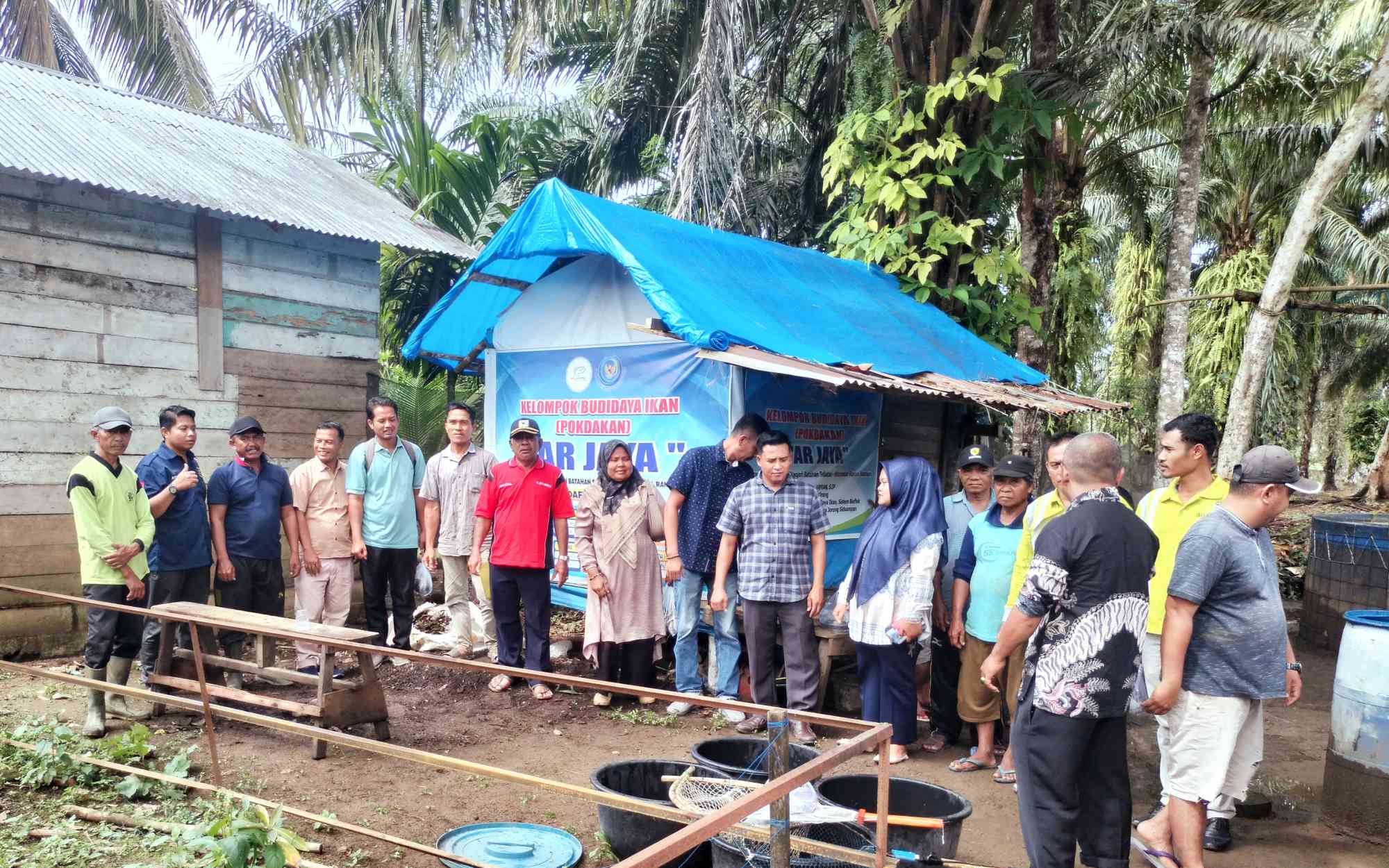 Panen Lele Bioflok : Bersama Wali Nagari Batahan Selatan